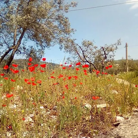 Del Bigallo Hostel *