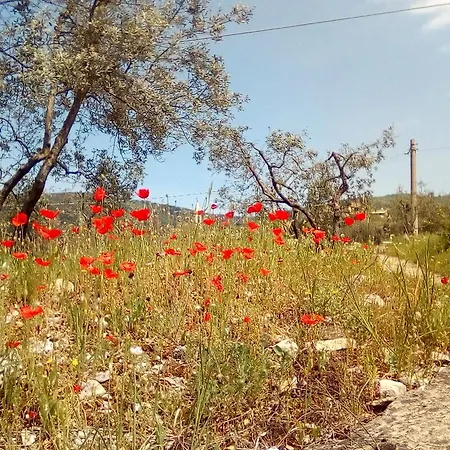 Del Bigallo Auberge de jeunesse *